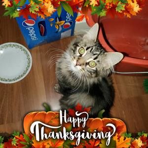 Meet your Posher, Cindy